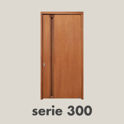 disenos_serie_300